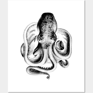 Octopus Artwork Vintage Posters and Art